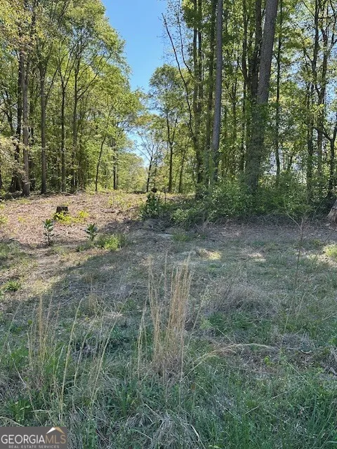 815 Aj Irvin Talmo, GA 30575