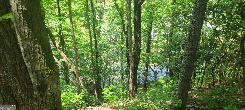 0 Ber Weg Helen, GA 30545