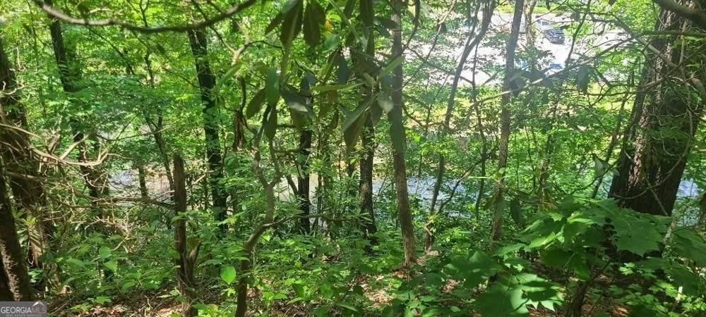 0 Ber Weg Helen, GA 30545