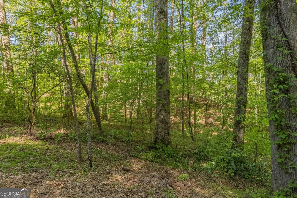 0 Ber Weg Helen, GA 30545