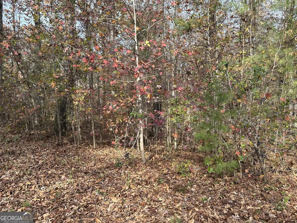 350 Antebellum WAY Fayetteville, GA 30215