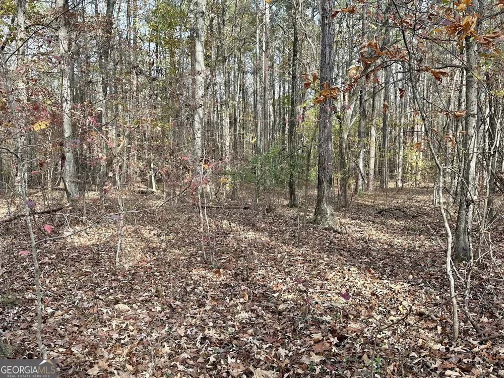 350 Antebellum WAY Fayetteville, GA 30215