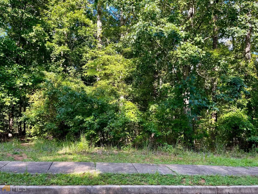 350 Antebellum WAY Fayetteville, GA 30215