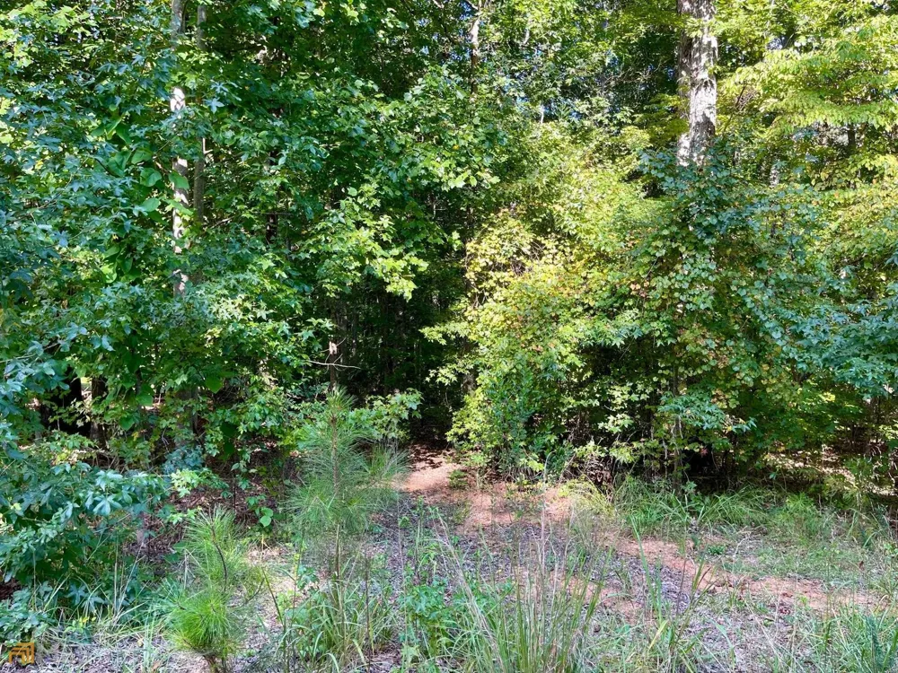 350 Antebellum WAY Fayetteville, GA 30215
