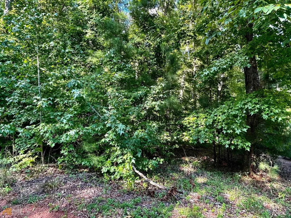 350 Antebellum WAY Fayetteville, GA 30215