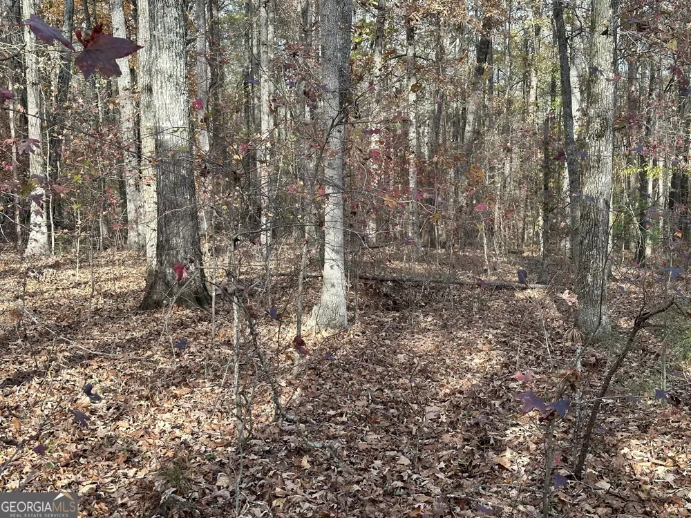 350 Antebellum WAY Fayetteville, GA 30215
