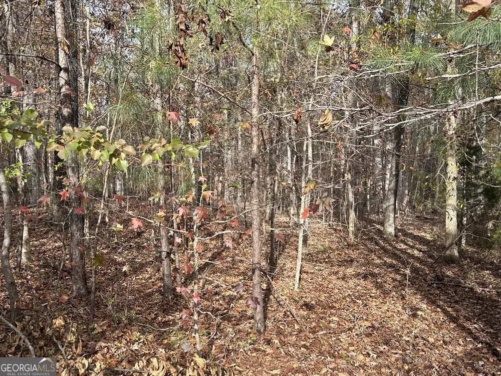350 Antebellum WAY Fayetteville, GA 30215