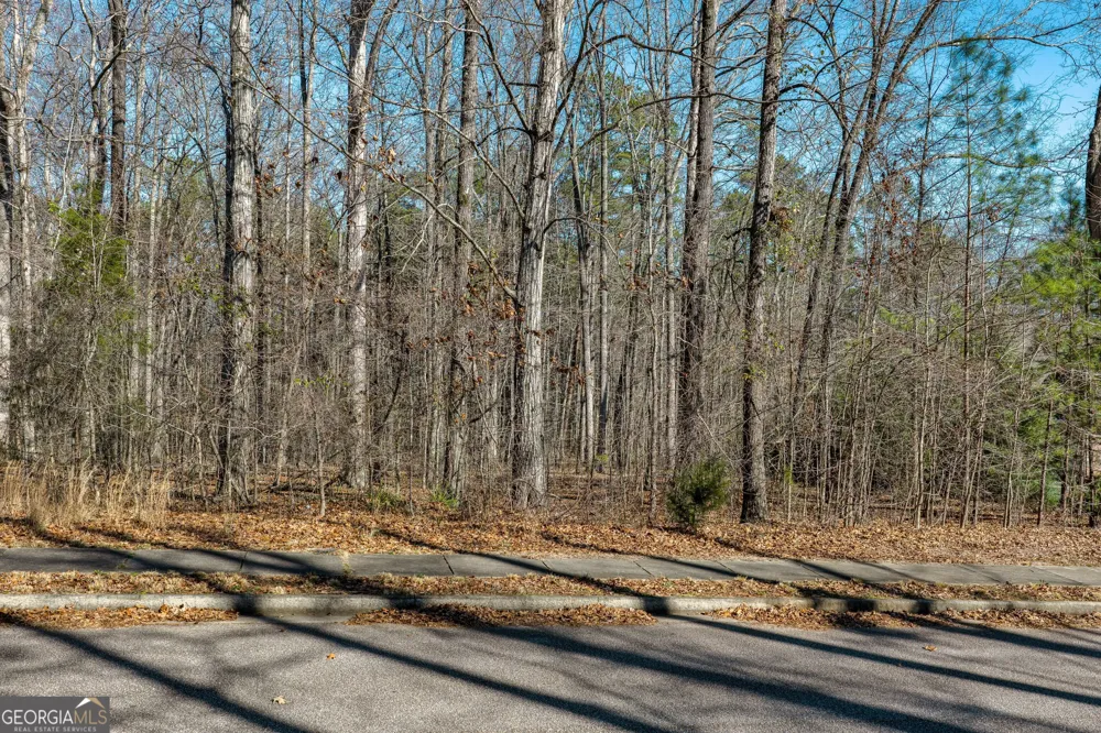350 Antebellum WAY Fayetteville, GA 30215