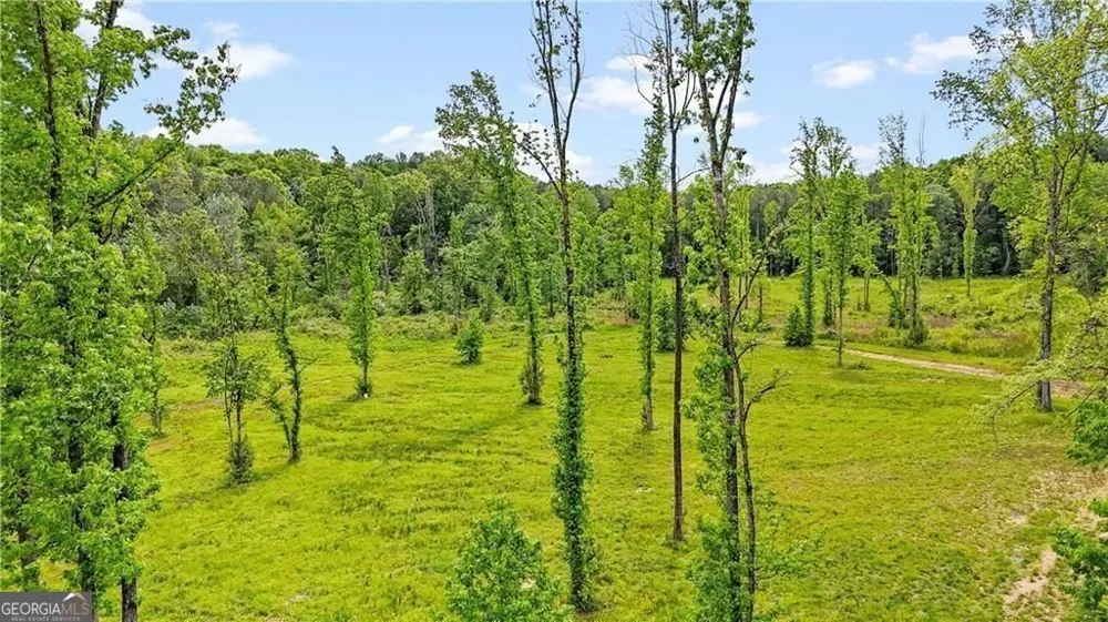 1581 Taylor Town RD NE Ranger, GA 30734