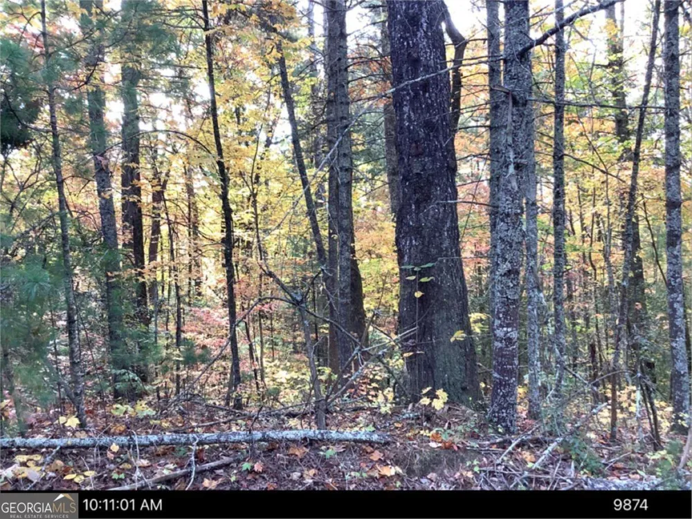 0 Andros CT Ellijay, GA 30540