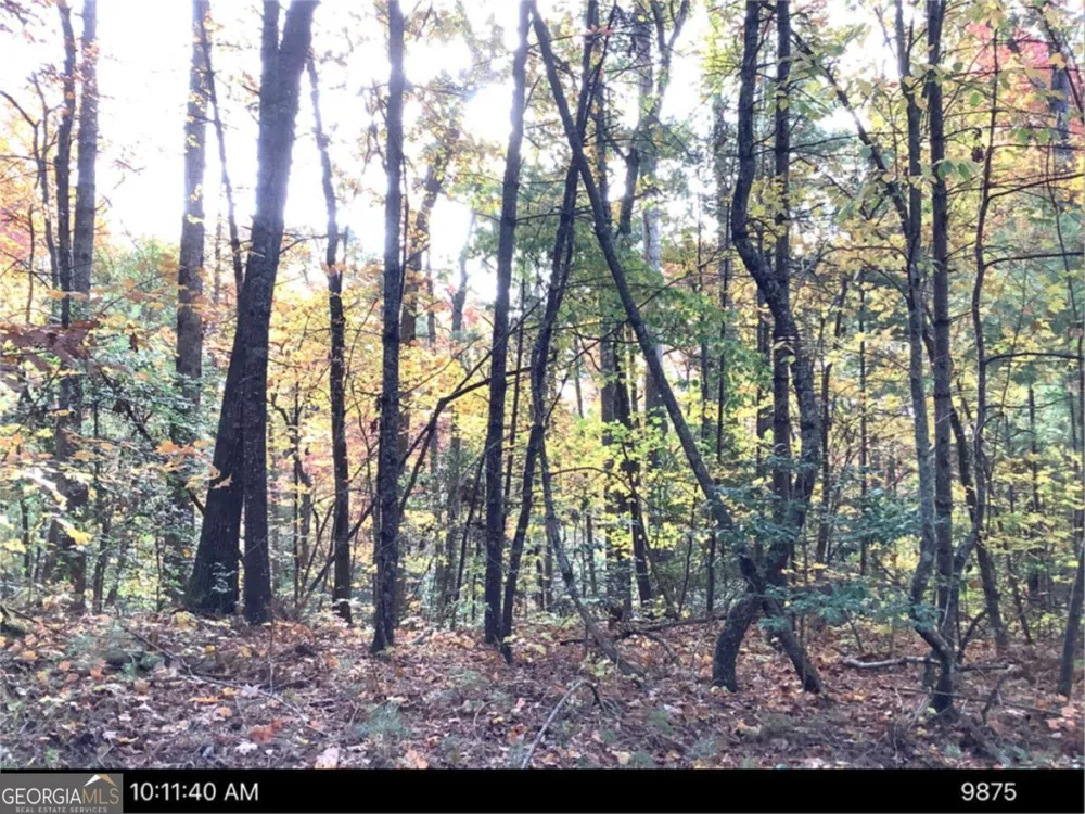 0 Andros CT Ellijay, GA 30540