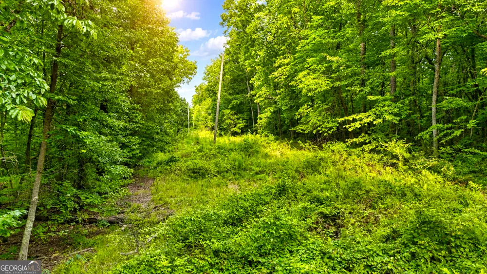 0 Highway 2 Parcel 1120913000 Cohutta, GA 30710