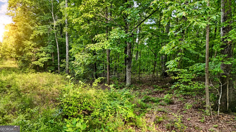 0 Highway 2 Parcel 1120913000 Cohutta, GA 30710