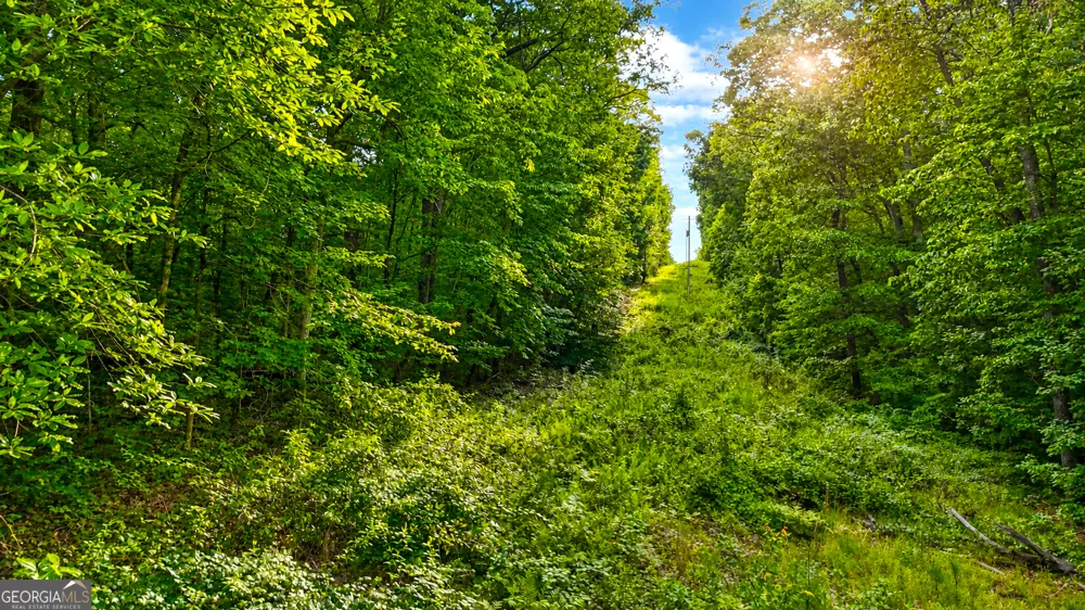 0 Highway 2 Parcel 1120913000 Cohutta, GA 30710
