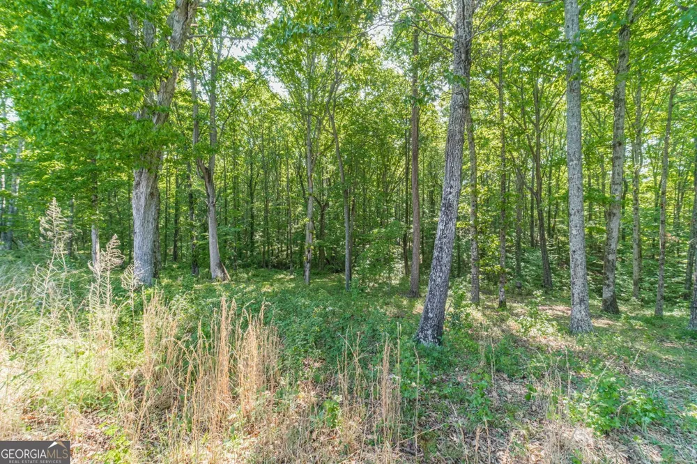 2124 Stonegate WAY Monroe, GA 30656