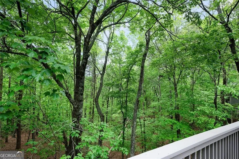 113 Yanoo TRCE Big Canoe, GA 30143