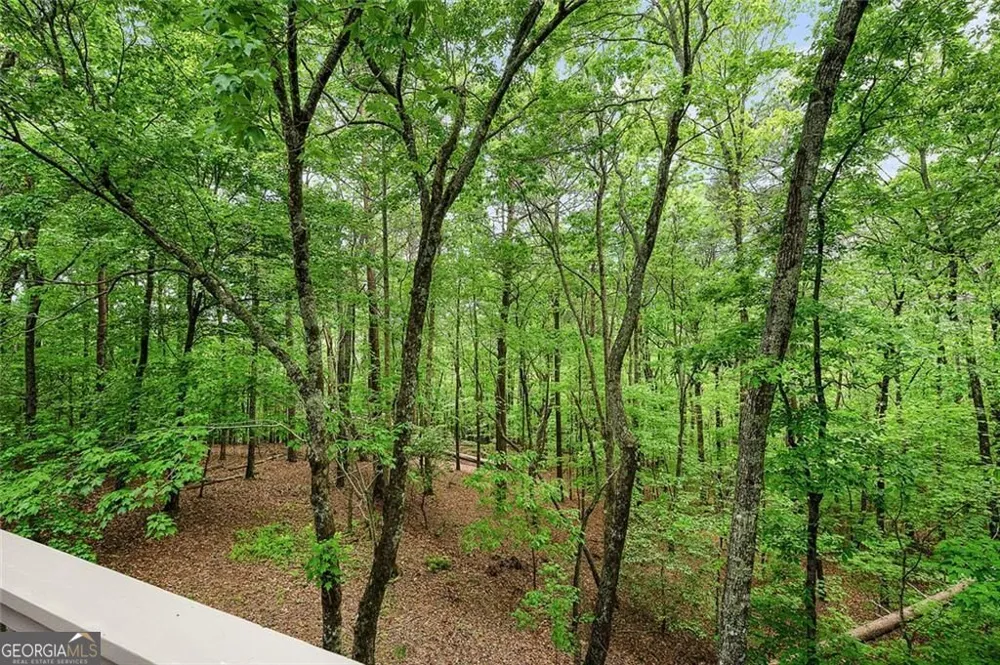 113 Yanoo TRCE Big Canoe, GA 30143