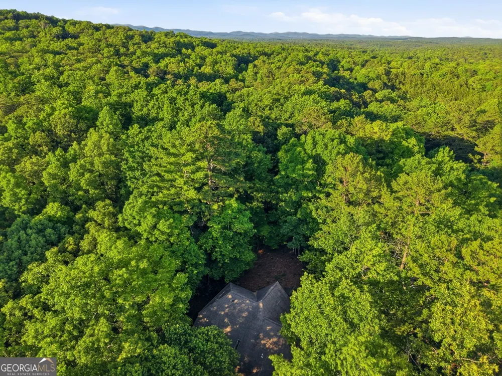 113 Yanoo TRCE Big Canoe, GA 30143