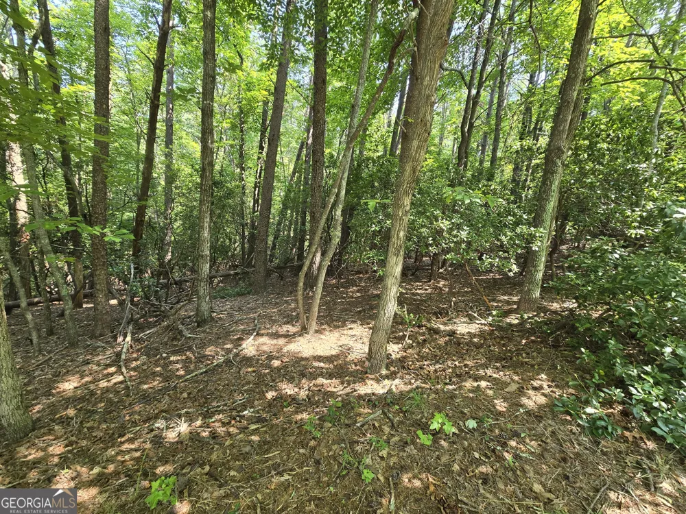 C2 Quail Run Sautee Nacoochee, GA 30571