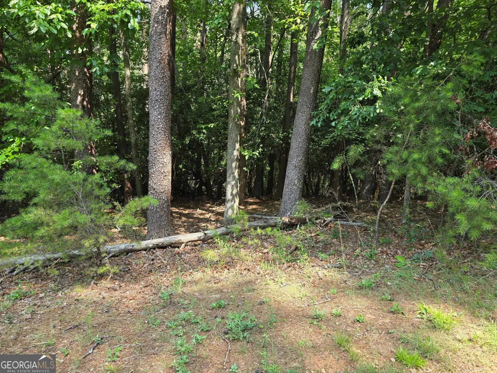C2 Quail Run Sautee Nacoochee, GA 30571