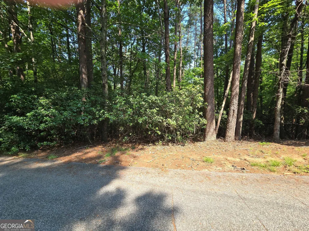 C2 Quail Run Sautee Nacoochee, GA 30571