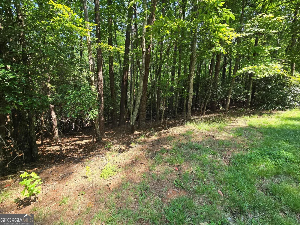 C2 Quail Run Sautee Nacoochee, GA 30571