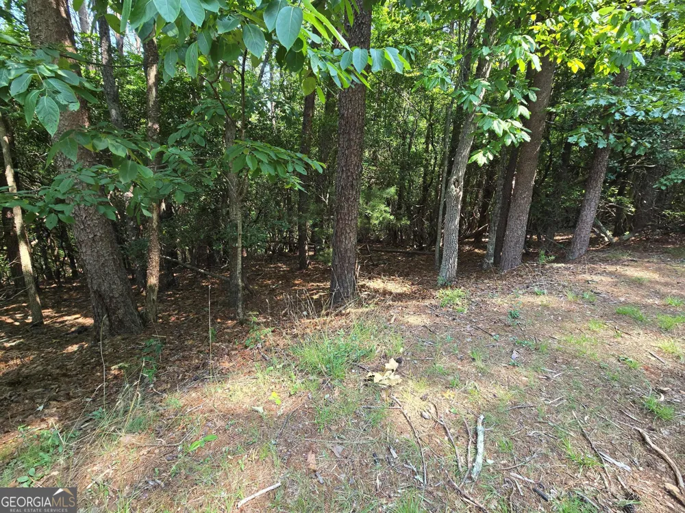 C2 Quail Run Sautee Nacoochee, GA 30571