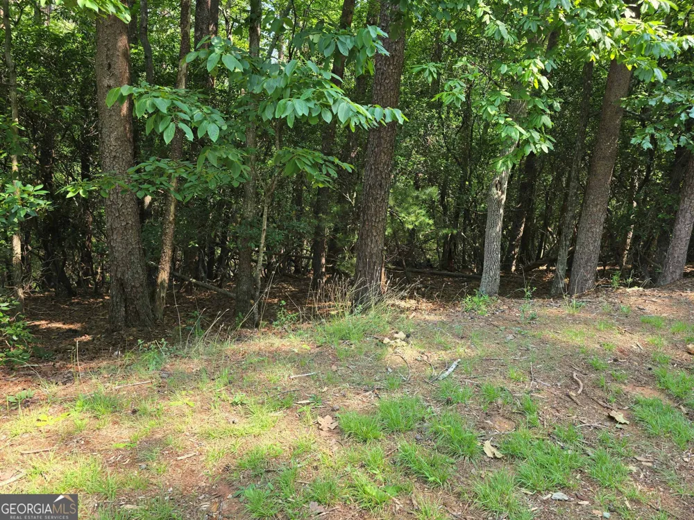 C2 Quail Run Sautee Nacoochee, GA 30571