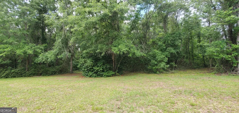 132 N Ocmulgee BLVD Jacksonville, GA 31544