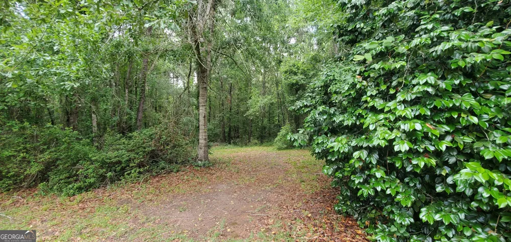 132 N Ocmulgee BLVD Jacksonville, GA 31544