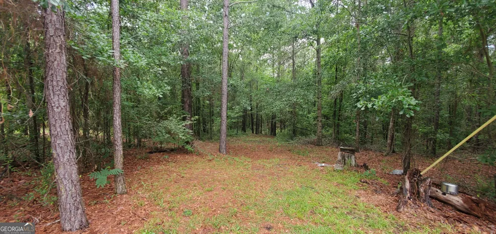 132 N Ocmulgee BLVD Jacksonville, GA 31544