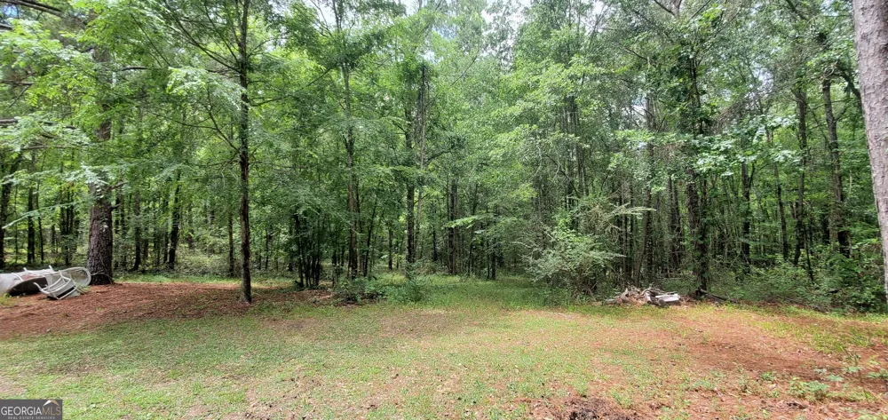 132 N Ocmulgee BLVD Jacksonville, GA 31544