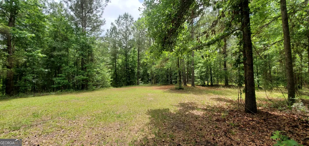 132 N Ocmulgee BLVD Jacksonville, GA 31544
