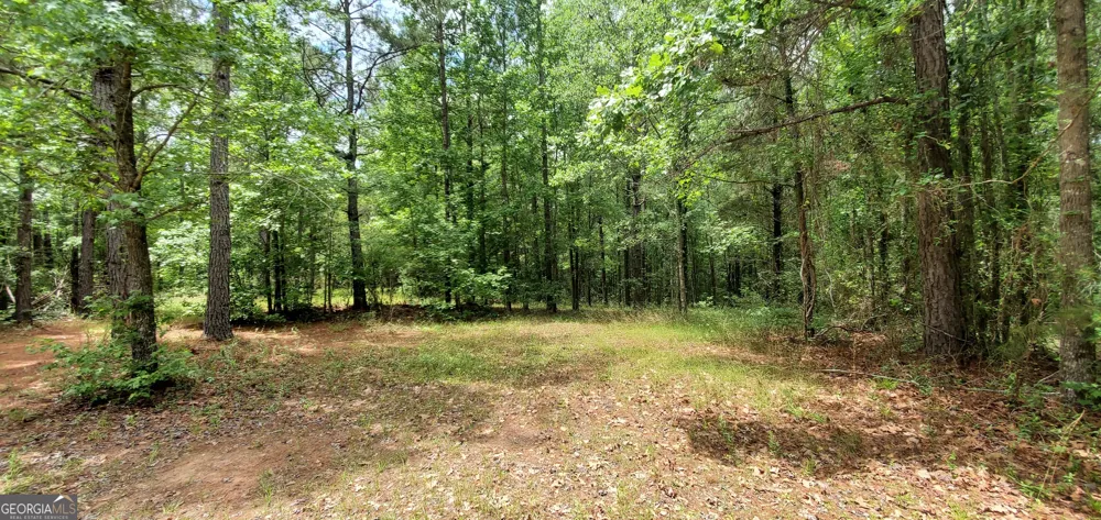 132 N Ocmulgee BLVD Jacksonville, GA 31544