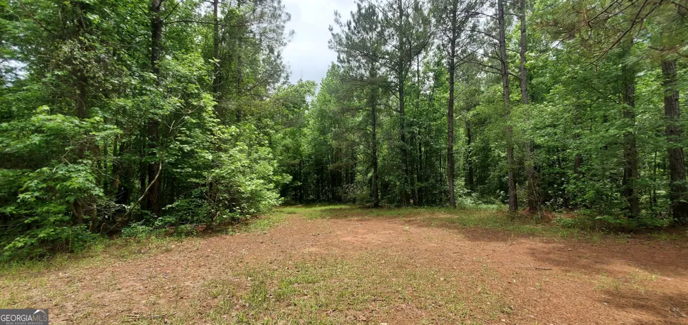 132 N Ocmulgee BLVD Jacksonville, GA 31544