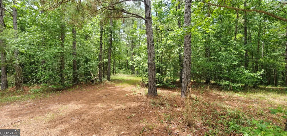 132 N Ocmulgee BLVD Jacksonville, GA 31544