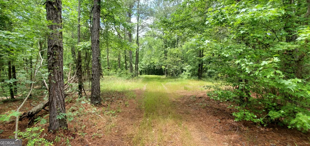 132 N Ocmulgee BLVD Jacksonville, GA 31544