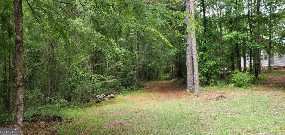 132 N Ocmulgee BLVD Jacksonville, GA 31544