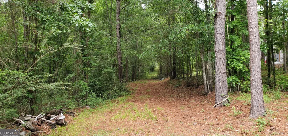 132 N Ocmulgee BLVD Jacksonville, GA 31544