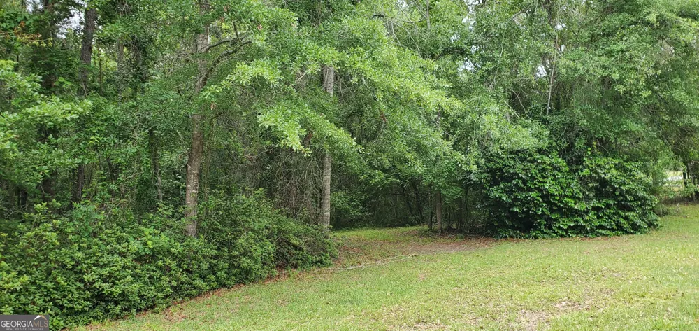 132 N Ocmulgee BLVD Jacksonville, GA 31544