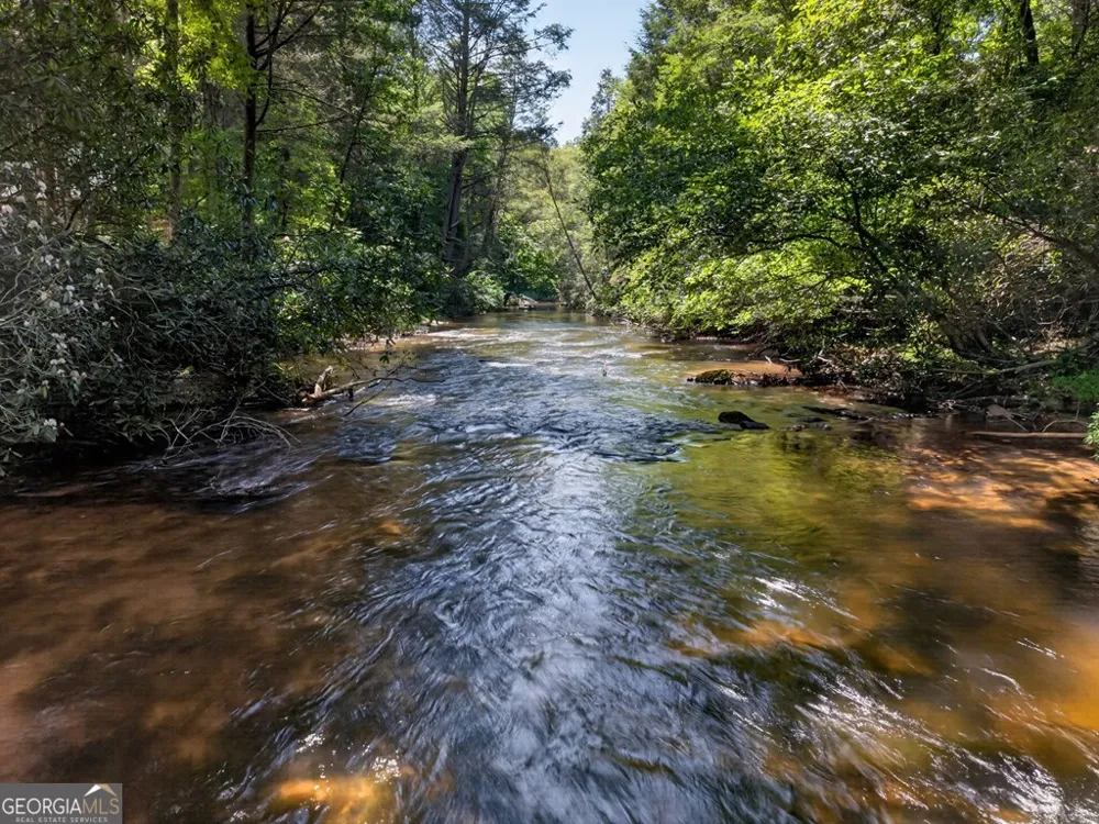 357 Hemlock TRL Blue Ridge, GA 30513