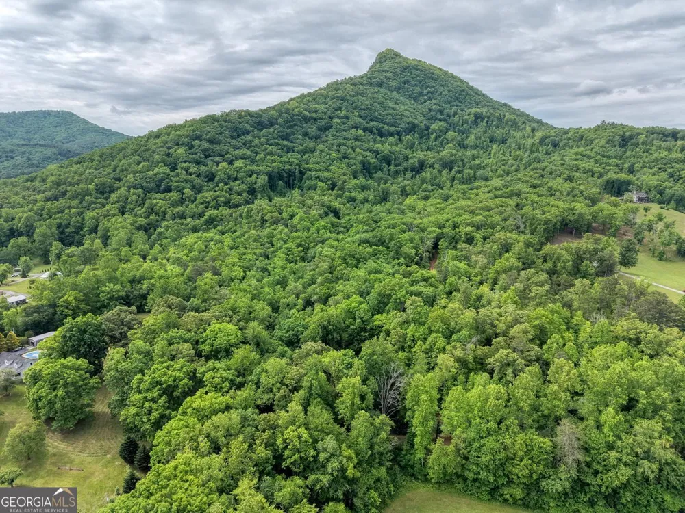 1568 Carlvin RD Hiawassee, GA 30546