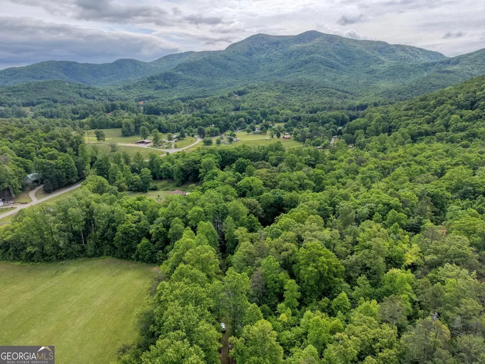1568 Carlvin RD Hiawassee, GA 30546