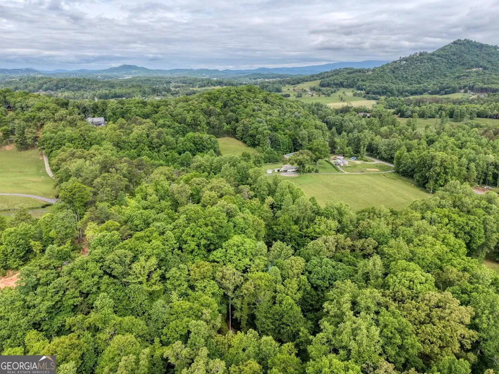 1568 Carlvin RD Hiawassee, GA 30546