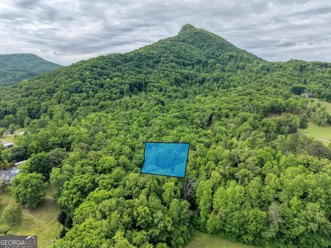 1568 Carlvin RD Hiawassee, GA 30546