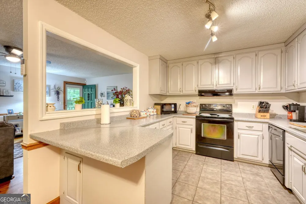 1568 Carlvin RD Hiawassee, GA 30546
