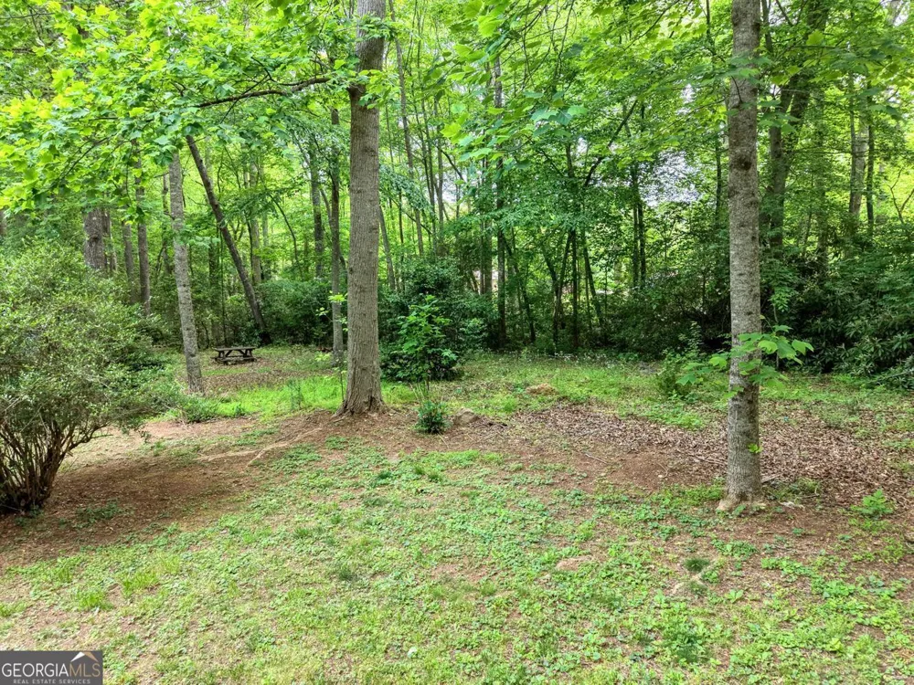 1568 Carlvin RD Hiawassee, GA 30546