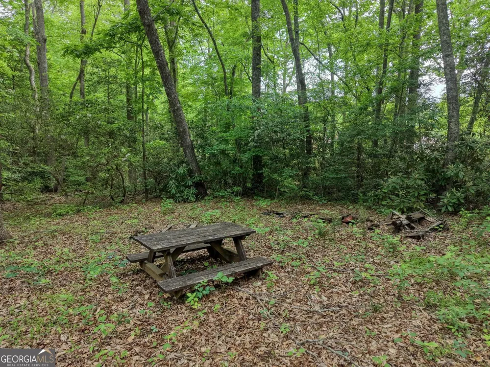 1568 Carlvin RD Hiawassee, GA 30546