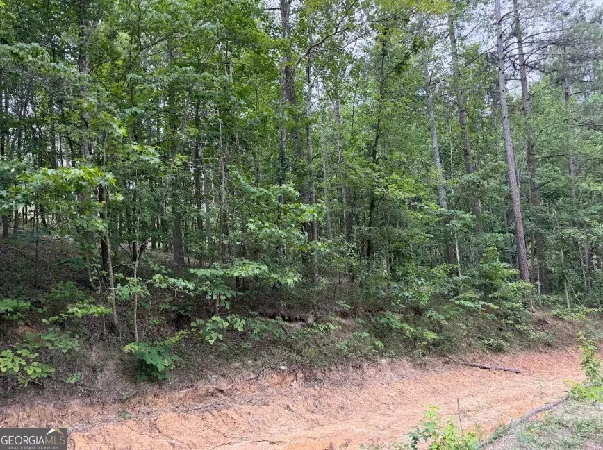 0 Mt. Sinai Lula, GA 30554