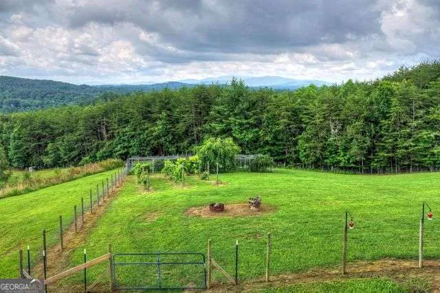 384 Dean RD Mineral Bluff, GA 30559